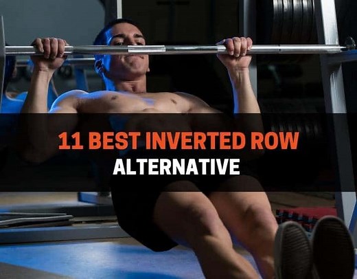 11 Best Inverted Row Alternative (With Pictures) | PowerliftingTechnique.com