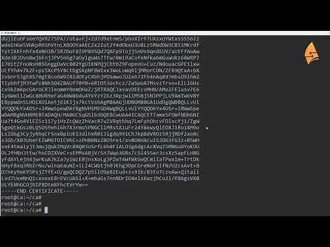 OpenSSL Certification Authority (CA) on Ubuntu Server
