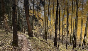 GitLab 15.6 released with improvements to security policies, CI/CD variables, and DAST API