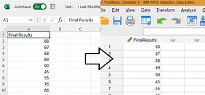 Excel to SPSS: How to Import Data