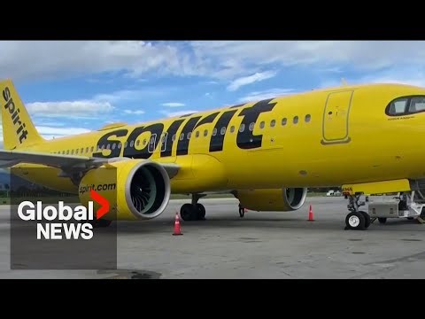 Spirit Airlines plane hit by gunfire in Haiti's capital, flight attendant struck