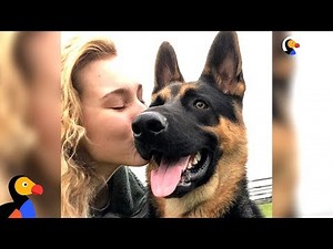 This Dog Has A Life-Saving Talent | The Dodo