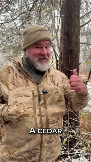 Three Trees That Reveal What the Land Is Doing