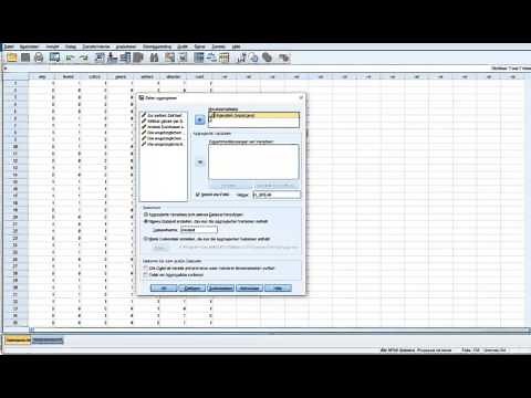Spss 23 Daten aggregieren