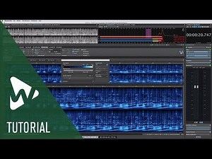 Spectrogram and Wavelet Displays | New Features in WaveLab Pro 9.5