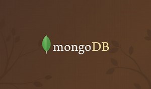 Getting Started with Mongo Shell Scripting – Basic CRUD Operations