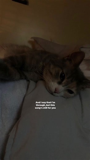 #lyrics | Lirik Lagu