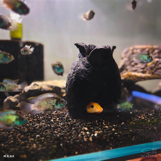 NEW! Alien Egg Hides (set of 2) | Aquarium & Terrarium Shelters - Etsy