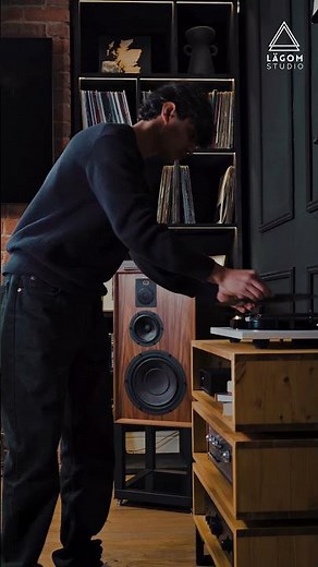 Vinyl Record Storage & Hifi racks by Lagom Studio