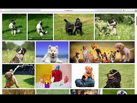 How to use Pixabay