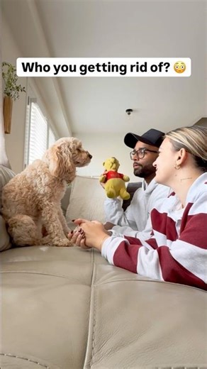 Mini Cockapoo Picks Who She Wants To Get Rid Of 😳