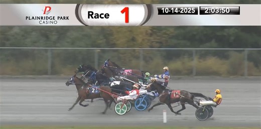 3K views · 43 reactions | Frank De Ford Delivers in Plainridge Park...