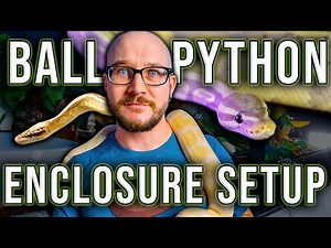 Ball Python Setup | How To Set Up A Ball Python Enclosure On ANY Budget 2022