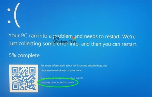 CRITICAL PROCESS DIED (0x000000EF) error in Windows 11/10