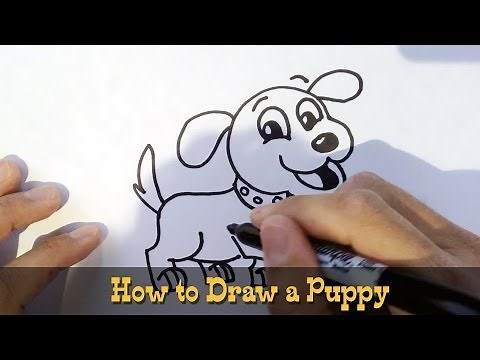 How to Draw a Puppy