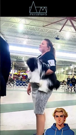 Havanese Training Hacks: Quick & Easy Tips for Success! 🚀🐾| Live Dog Show!