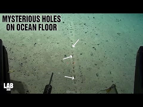 Scientists Discover Mysterious Holes on Ocean Floor