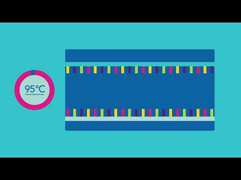【早わかり】標識プローブを用いた定量PCR