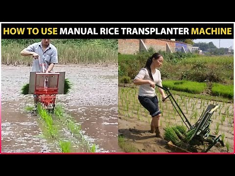 How to use Manual Rice Transplanter Machine | Rice / Paddy Planting Machine