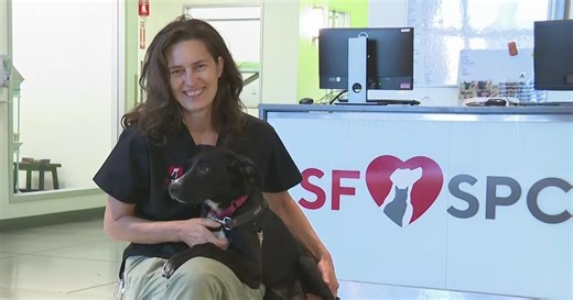 Free adoption for pets 5 months and over at SF SPCA