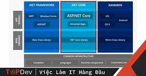 .NET core vs ASP.NET core | .NET Framework, .NET Core và Mono