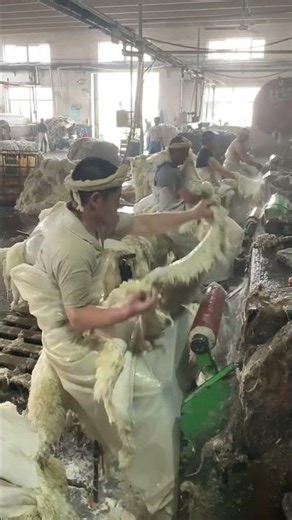 Inside a Leather Making Factory 🐄🏭 | Amazing Manufacturing Process #shortsvideo