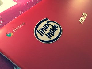 Complete Guide to Installing Linux on Chromebook