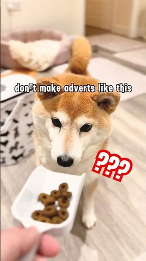 what social media dog food adverts should look like #cutenessoverload