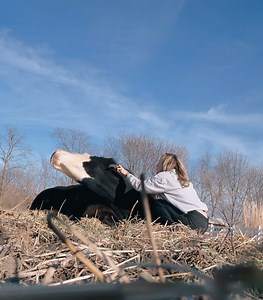 3.9K views · 1.1K reactions | ✨ Have you met Buddy, our incredible...