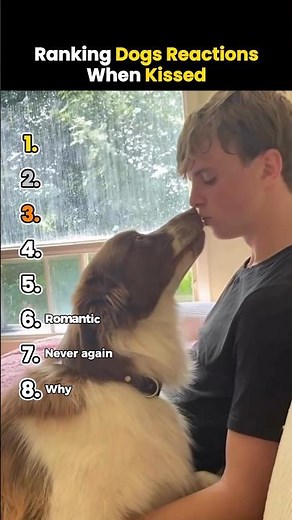 Ranking Dogs Reactions When Kissed #shorts