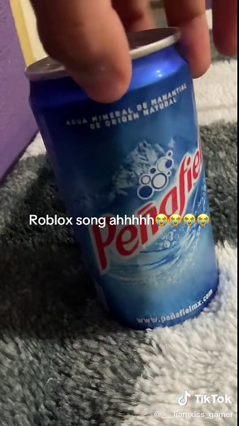 Discover Fun Roblox Sounds and Music