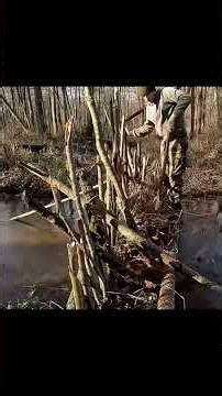 Secret SWAMP Log Cabin! 🌲 Extreme Build with NO Power Tools 🛠️