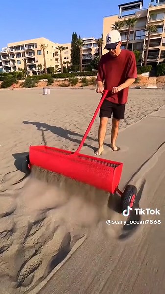 Exploring Unique Beach Finds: ASMR Experience