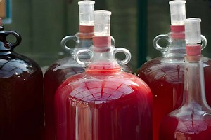 5 Steps to Make Wine from Grapes