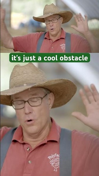 The first thing to remember when moving pigs #joelsalatin #regenerativeagriculture #pork