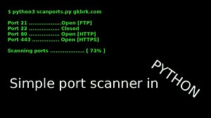 Making a port scanner in Python