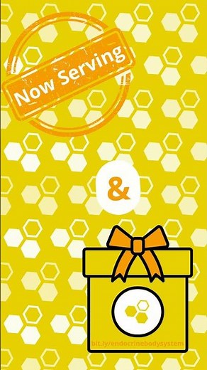 🩸🧪 Master the Endocrine System! 🧪🩸Everything you need to know: MedSurg, Pharm & Peds | ‪@LevelUpRN‬