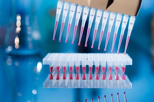 Définition | PCR : qu'est-ce que c'est ? | Futura santé