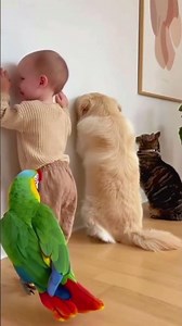 #pov#youtobe#fyp#foryou#foryoupage#funny