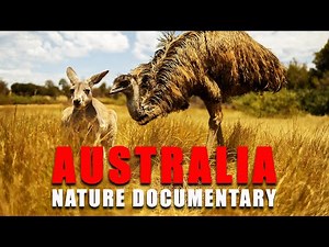 Australia Nature Documentary | A Journey Through Nature, Wildlife, and Resilience | 4K Documentary