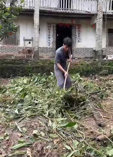 381K views · 10K reactions | On the eighth day of the renovation of the old house, the path was repaired today, and the wood of the house was prepared tomorrow | Tosbar OPP | Facebook