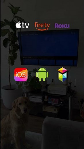 Here’s how you can get started with DOGTV in as little as 60 seconds! 🐶