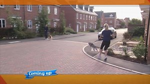 3.4K views · 117 reactions | Today on Dog Whisperer with Cesar Millan: Family Edition, Cesar helps two pups that exhibit nervous behaviors! | Dog Whisperer with Cesar Millan: Family Edition | Facebook