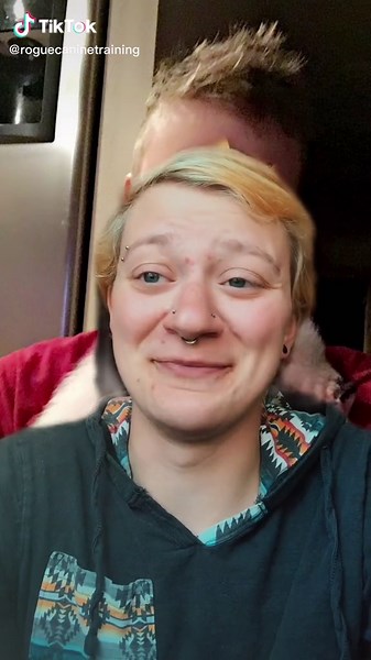 What Sound Does A Pig Make? Exploring Pig Oinks and Animal Sounds