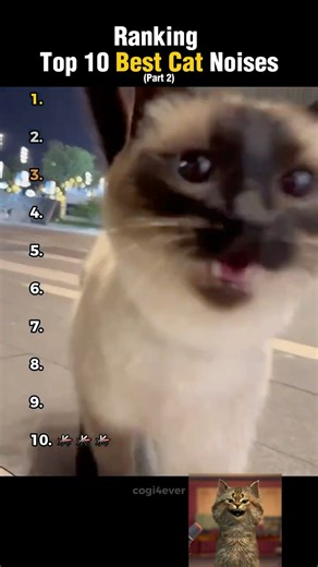 Ranking Top 10 Best Cat Noises! (Part 2)