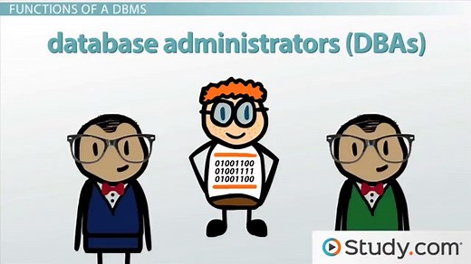 What is a Database Management System? - Purpose and Function