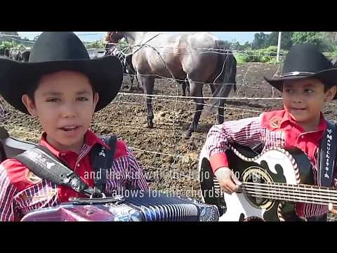 Introduction to the diatonic accordion