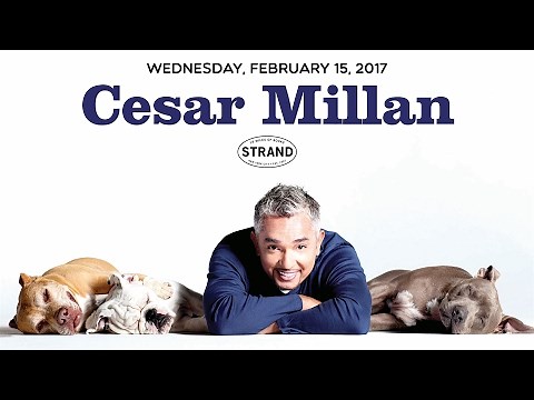 Cesar Millan | Lessons from the Pack