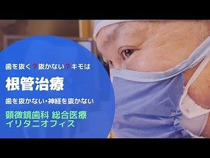 【抜歯する？しない？根管治療 】2024 02 09 #歯を抜かない治療 #根管治療 #ラバーダム防湿法#歯科衛生士