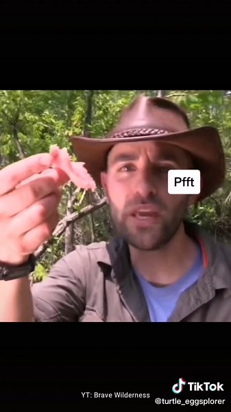 Alligator Snapping Turtle Bites Turkey Leg! Watch the Intense Encounter